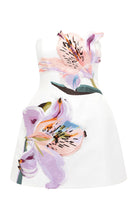 Load image into Gallery viewer, Chloe Dress PREORDER
