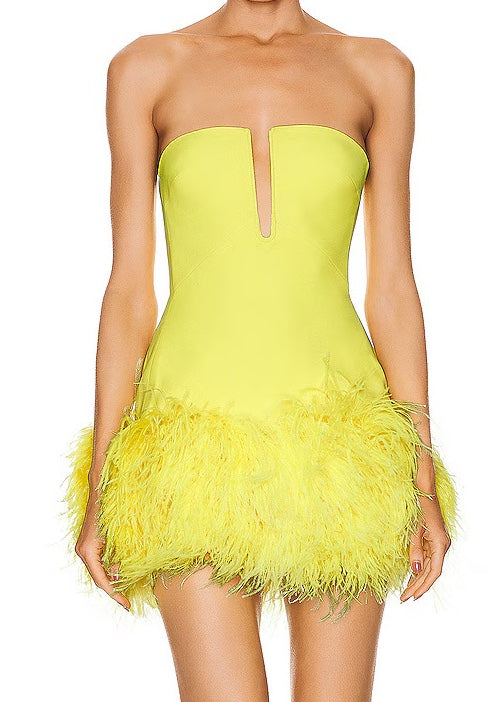 Feather Mini Dress PREORDER  Addie Belle Boutique