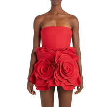 Load image into Gallery viewer, Rose Mini Dress PREORDER
